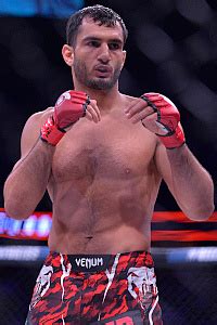 alex pereira gegard mousasi